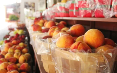The Best And Easiest Method For Grilled Peaches